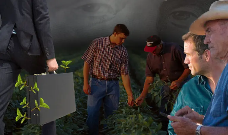 Efectos colaterales de brecha cambiaria: empresarios "meten la soja en las valijas" y emigran a otros paí­ses