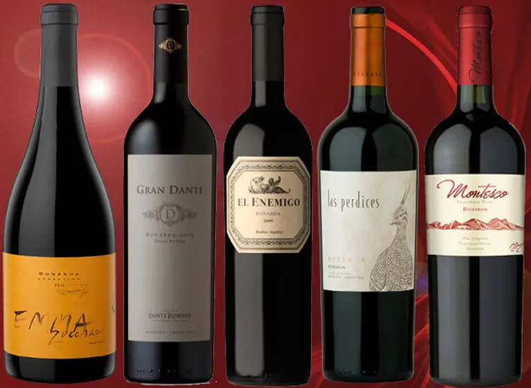 Vinos recomendados: 5 Bonardas "high class" para conocer el máximo potencial de la variedad