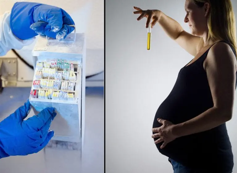 Oficializan la ley de fertilización asistida, que será reglamentada en 90 dí­as