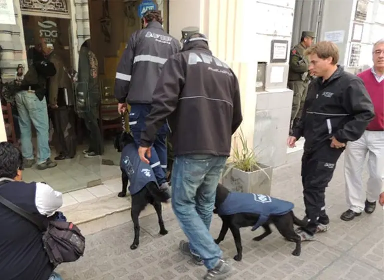 Salta: la AFIP realizó 15 allanamientos en "cuevas" y secuestró 40 armas de fuego