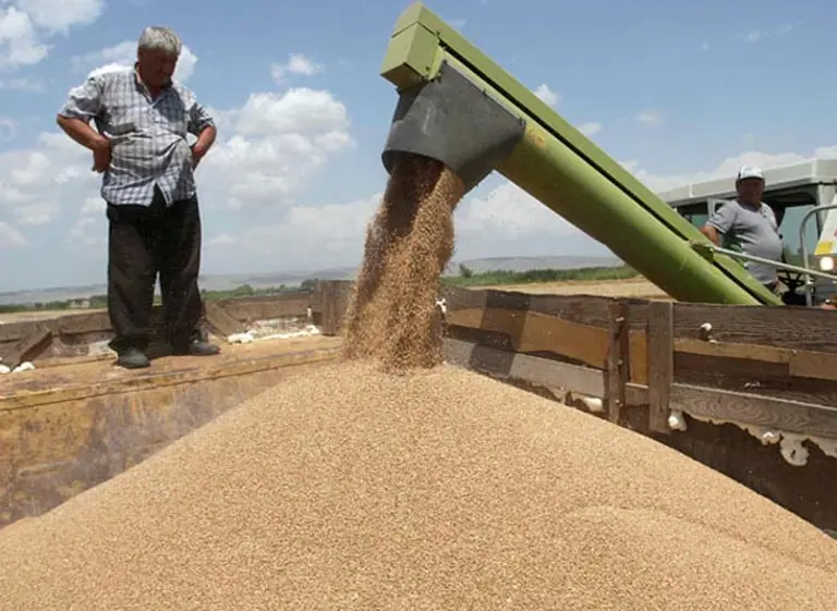 Vacas flacas: aseguran que la presión fiscal sobre el campo alcanza hasta 80% de ingresos