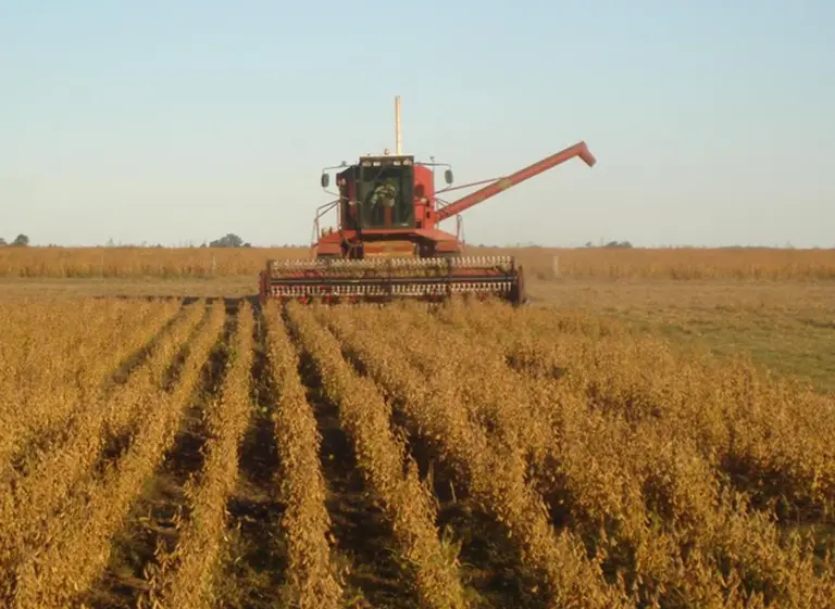 IncUBAgro capacitará este año a doce equipos de emprendedores