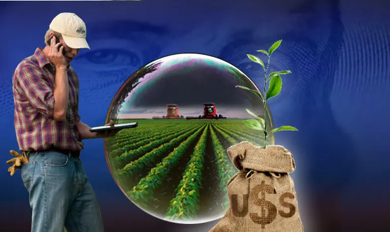 Sigue el avance de la soja mientras cae el área sembrada para maí­z y trigo