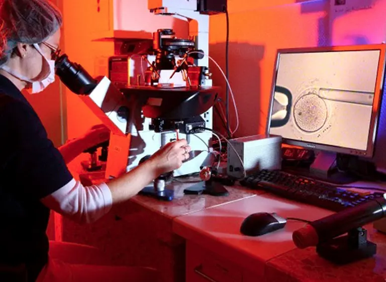 Diputados aprobó proyecto que regula las técnicas de fertilización asistida