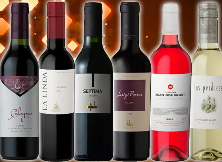 Vinos recomendados: 6 ejemplares de 375ml para sumarse a la tendencia de las botellas chicas