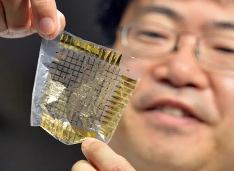 Crean un chip flexible que puede ser "implantado" en el cuerpo para registrar las condiciones fí­sicas