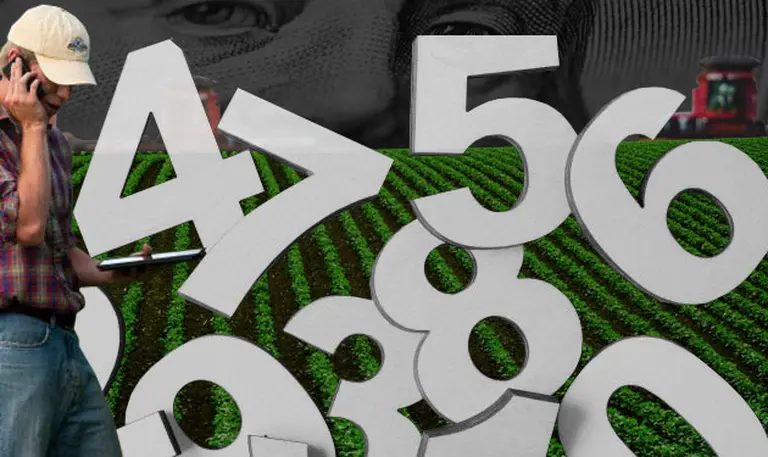 La USDA bajó las estimaciones para el trigo y el maí­z argentinos