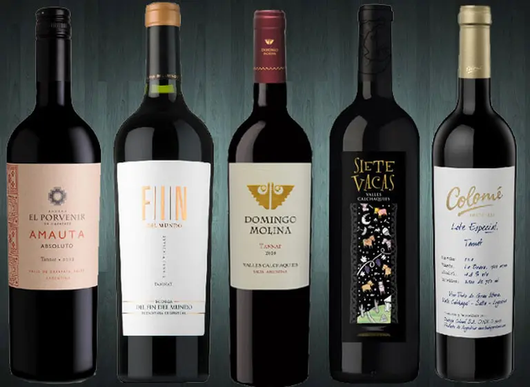Vinos recomendados: cinco Tannat de diferentes terroirs para conocer a fondo esta variedad