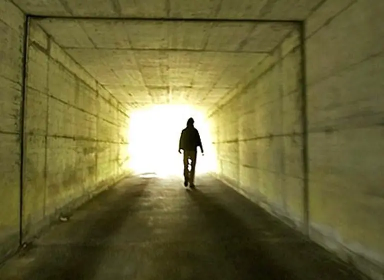 Un estudio descubre qué ocurre en el cerebro segundos antes de morir