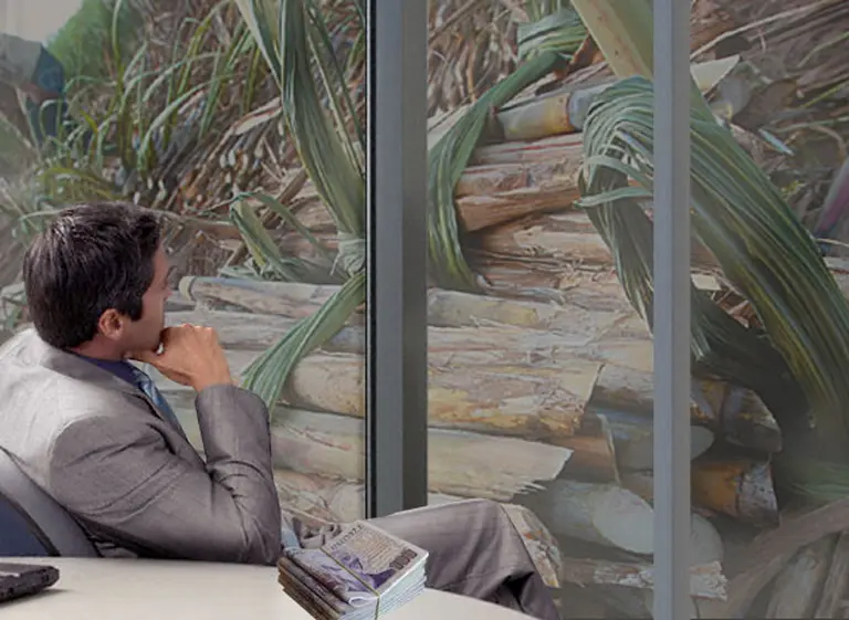 Una "dulce" inversión: lanzan fideicomiso para ganar dinero con "pesos azucareros"