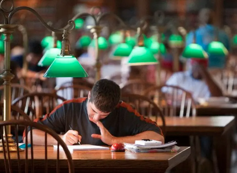 Más allá del conocimiento: ¿cuáles son los beneficios de aprender algo nuevo?