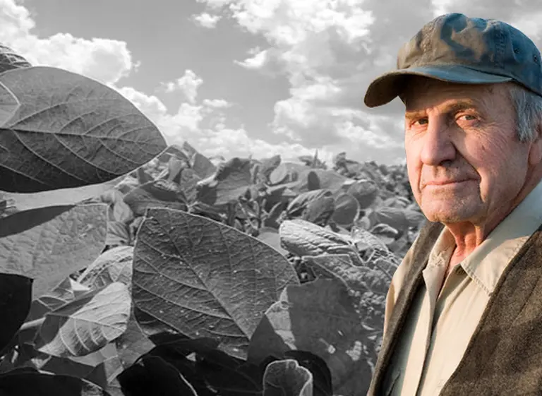 Fin de una "época dorada": se extinguen pooles de siembra y ahora "sobra tierra" en Argentina