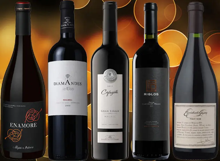 Más allá de blancos y rosados: cinco vinos tintos ideales para disfrutar este Dí­a de la Madre