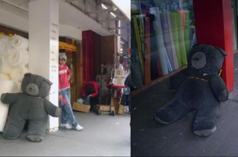 Tras varios años de marchas y reclamos, "liberaron" al oso más famoso de Rosario