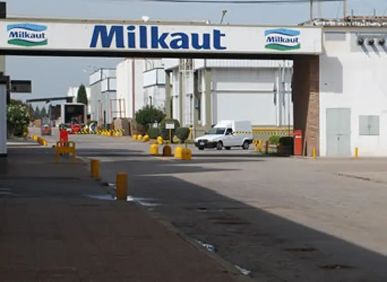 Milkaut invierte $30 millones para producir el queso cheddar de McDonald’s