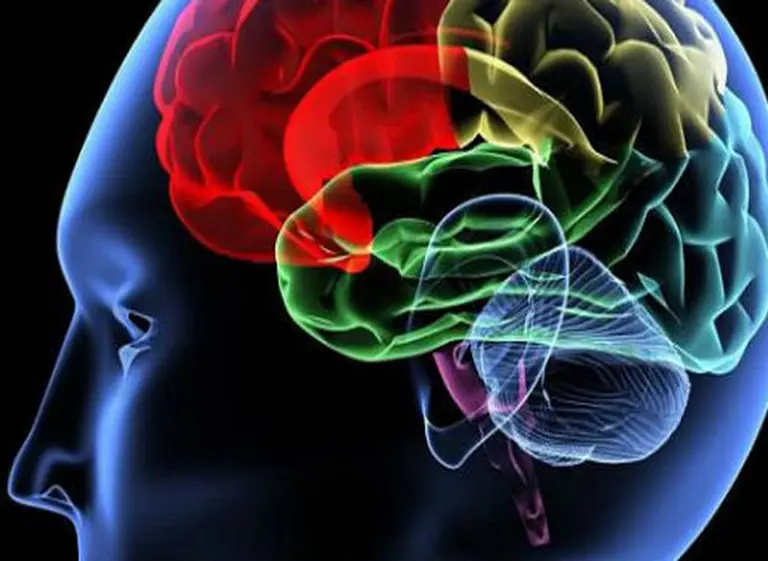 Ocho mitos de la ciencia que suelen creerse pese a ser totalmente falsos