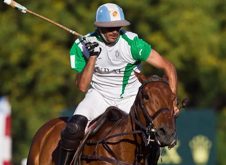 Roban siete caballos pura sangre del polista Cambiaso en Cañuelas