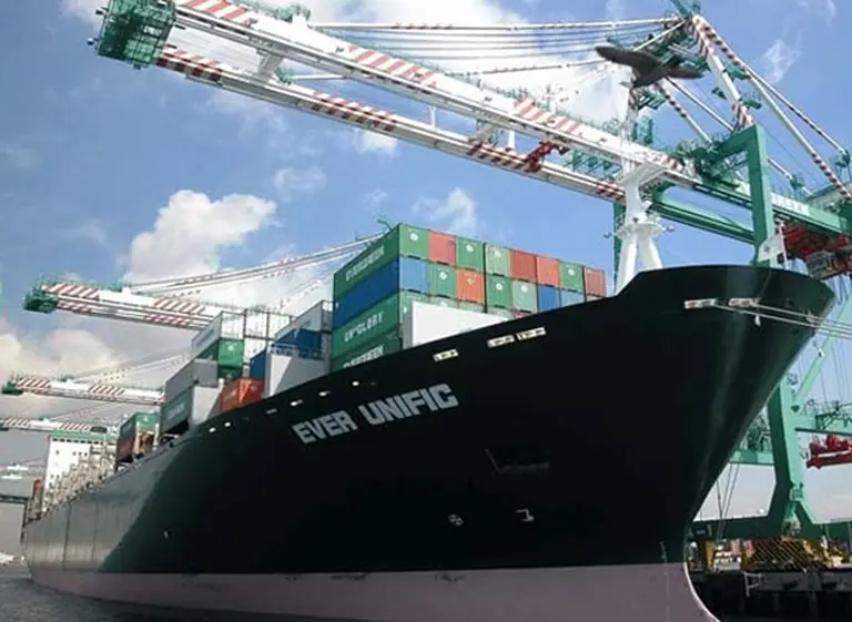 Eliminan obligación de liquidar divisas por exportaciones