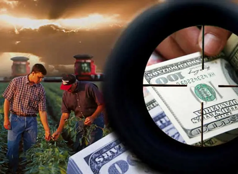 El Gobierno lanzó un registro para controlar la existencia de granos