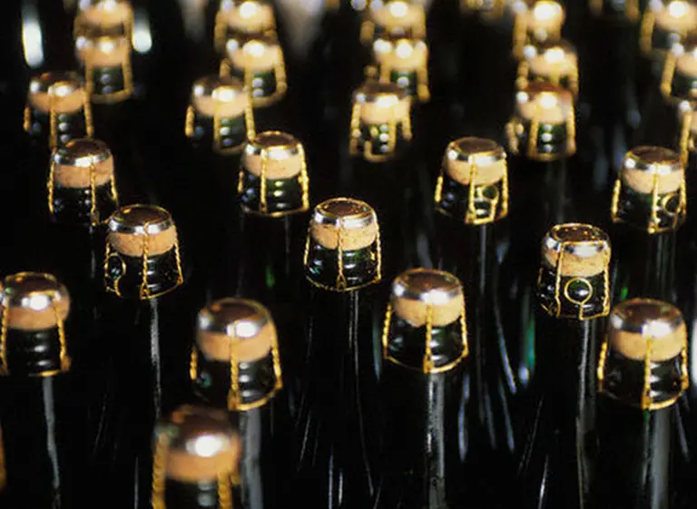 En apenas siete años, se duplicó el número de bodegas que elaboran espumantes en la Argentina