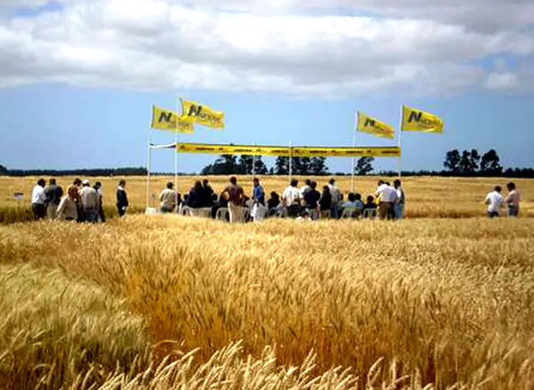 A través de Nidera, China desembarca en el negocio del agro argentino
