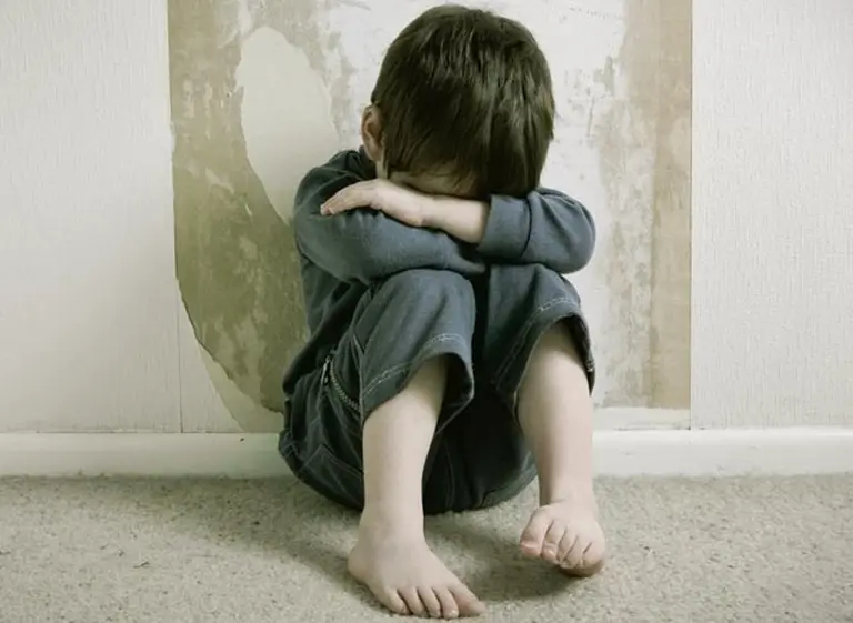 Por unanimidad, el Senado dio el aval a la denominada "Ley Brisa"