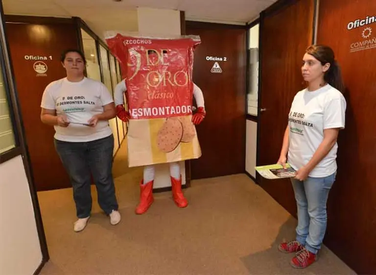 Molinos se defiende de las acusaciones de Greepeace sobre tala ilegal de bosques en Salta