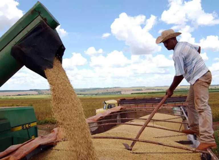 La AFIP desbarata un fraude impositivo de sojeros cordobeses