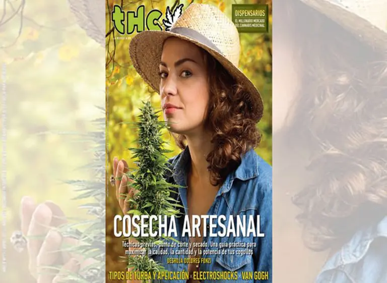 Dolores Fonzi, polémica: "Hago casi todo fumada"