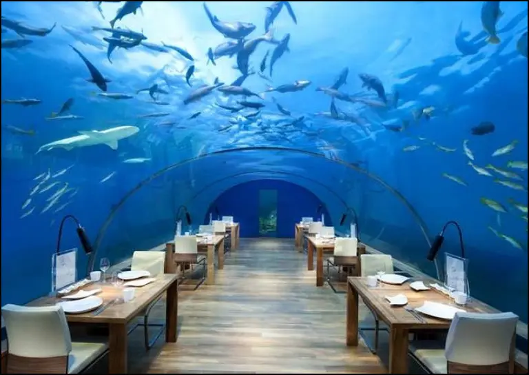 Estos son los 10 restaurantes más extraños del mundo