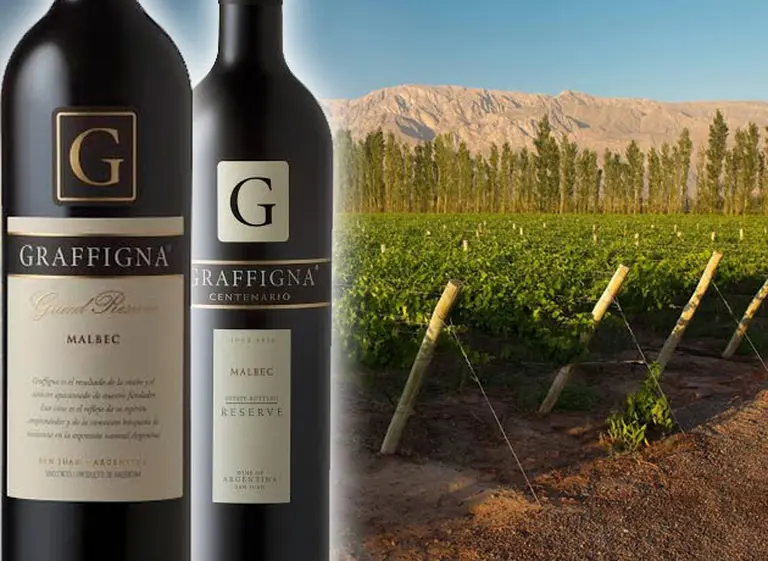 Bodega Graffigna: sí­ntesis de historia e innovación en el mundo del vino