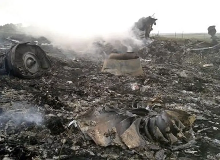 Singapore Airlines pide disculpas por sus dichos tras la tragedia del avión