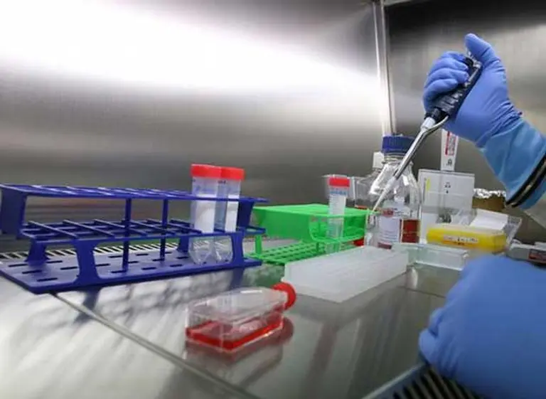 Estos son los 10 virus más peligrosos del mundo