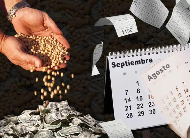 El valor de la soja sigue en baja y su cotización espanta la posibilidad de negocios