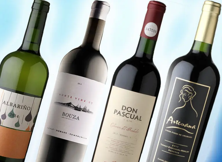 Vinos recomendados: diez etiquetas de Uruguay para conocer qué hay más allá del Tannat