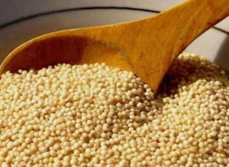 Afirman que en Argentina hay más de cien alimentos "en peligro de extinción"