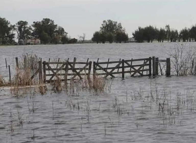 La mitad de Buenos Aires está en emergencia por las intensas lluvias