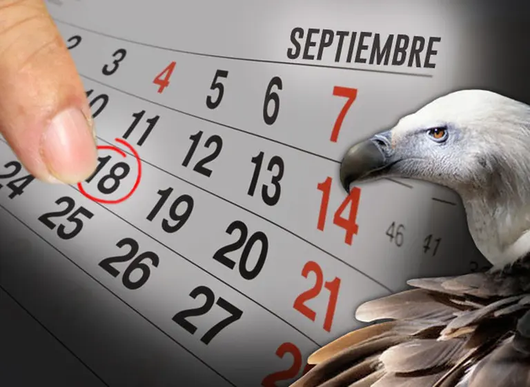 El 18-S: nuevo dí­a "fetiche" al que apuesta Cristina para reivindicarse ante el mercado financiero mundial