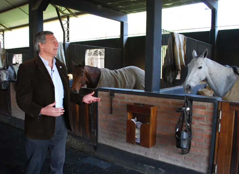 ARBA detectó 25.000 metros cuadrados sin declarar en caballerizas de polo
