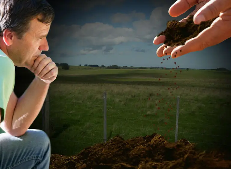 Agrónomos se buscan: ¿cuáles son los profesionales con mayor demanda en el área de agronegocios?