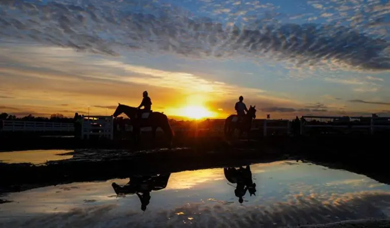 Alarma: sacrifican 36 caballos de carrera argentinos con enfermedad mortal para los humanos