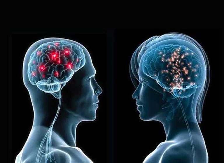 Estos son los diez descubrimientos del cerebro realizados en el 2014