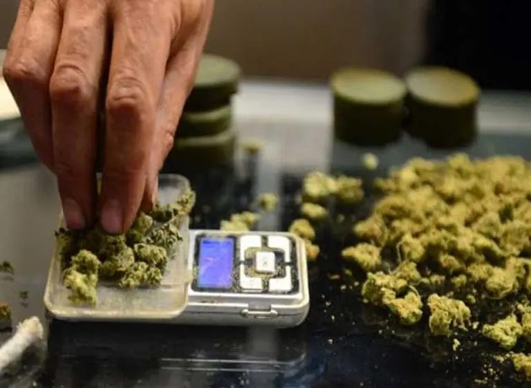 Las "start-up" que prometen cambiar la industria de la marihuana