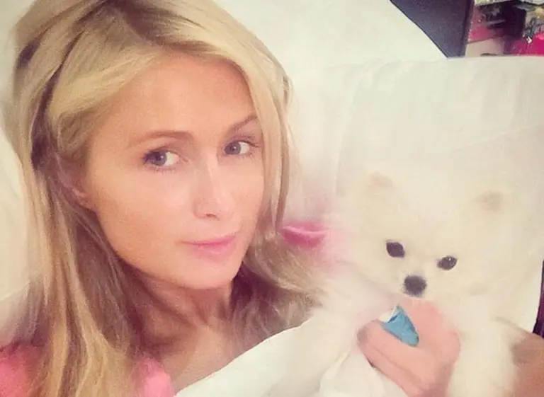 Nueva cruzada solidaria de los famosos en las redes sociales, el #Wakeupcall