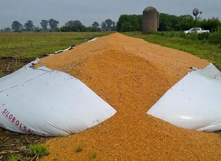 Vuelven a romper silobolsas en Buenos Aires y crece alerta en el campo