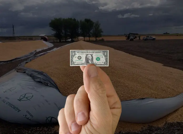 Por menores precios, exportaciones agroindustriales bajarí­an u$s3.500 millones este año