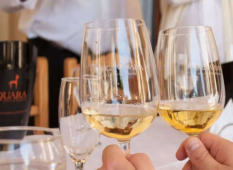 Redescubriendo el Torrontés, de la mano de las sutilezas y la magia de Cafayate