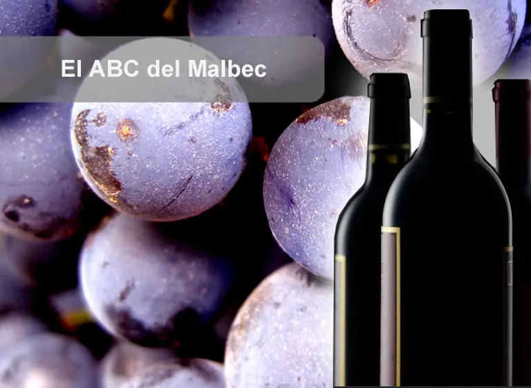 El ABC del Malbec: 10 claves para conocer a fondo las cualidades de esta variedad