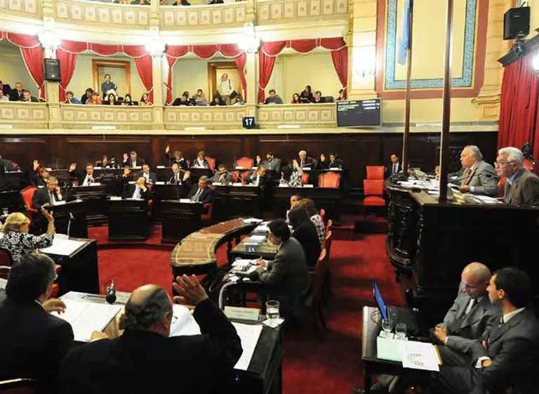 Una pelea con botellazos y huevazos interrumpió debate en el Senado bonaerense
