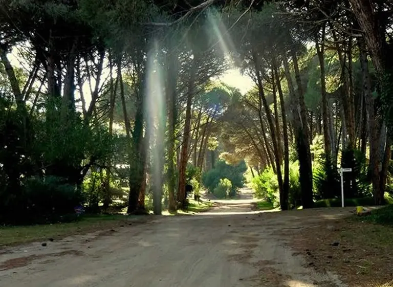 Crece la polémica en Cariló por un nuevo proyecto inmobiliario en la zona sur